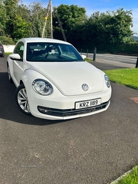 Volkswagen Beetle 2.0 TDI Design 3dr in Fermanagh