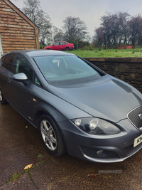 Seat Leon 1.6 TDI CR Ecomotive SE Copa 5dr in Tyrone