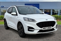 Ford Kuga 1.5 EcoBlue ST-Line X Edition 5dr- Panoramic Sunroof in Antrim