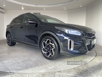 Kia XCeed 1.5T GDi ISG GT-Line 5dr in Tyrone