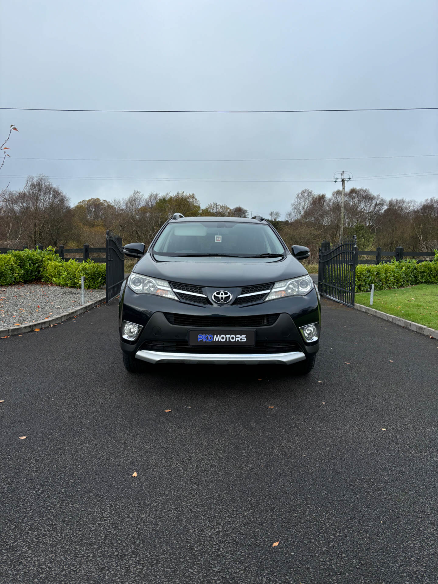 Toyota RAV4 DIESEL ESTATE in Tyrone