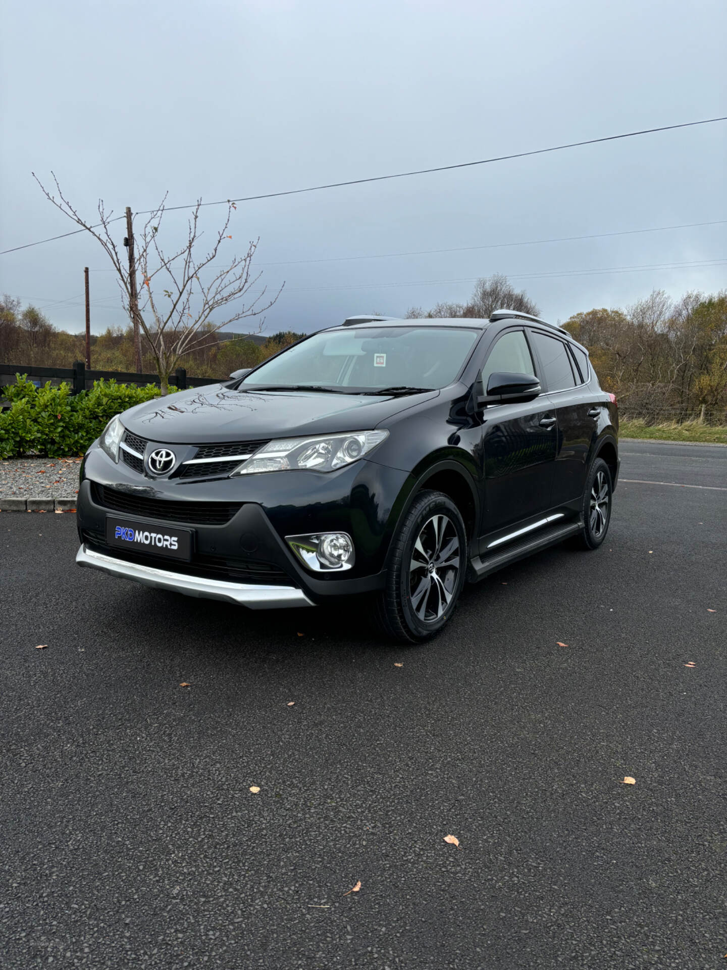 Toyota RAV4 DIESEL ESTATE in Tyrone