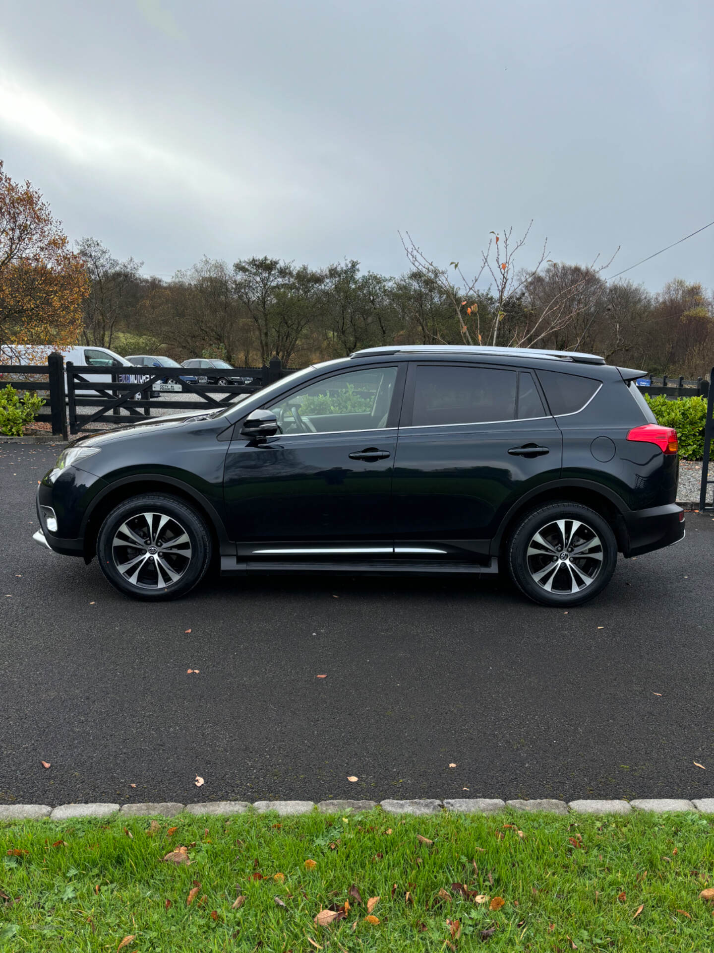 Toyota RAV4 DIESEL ESTATE in Tyrone