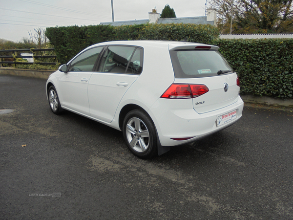 Volkswagen Golf DIESEL HATCHBACK in Tyrone