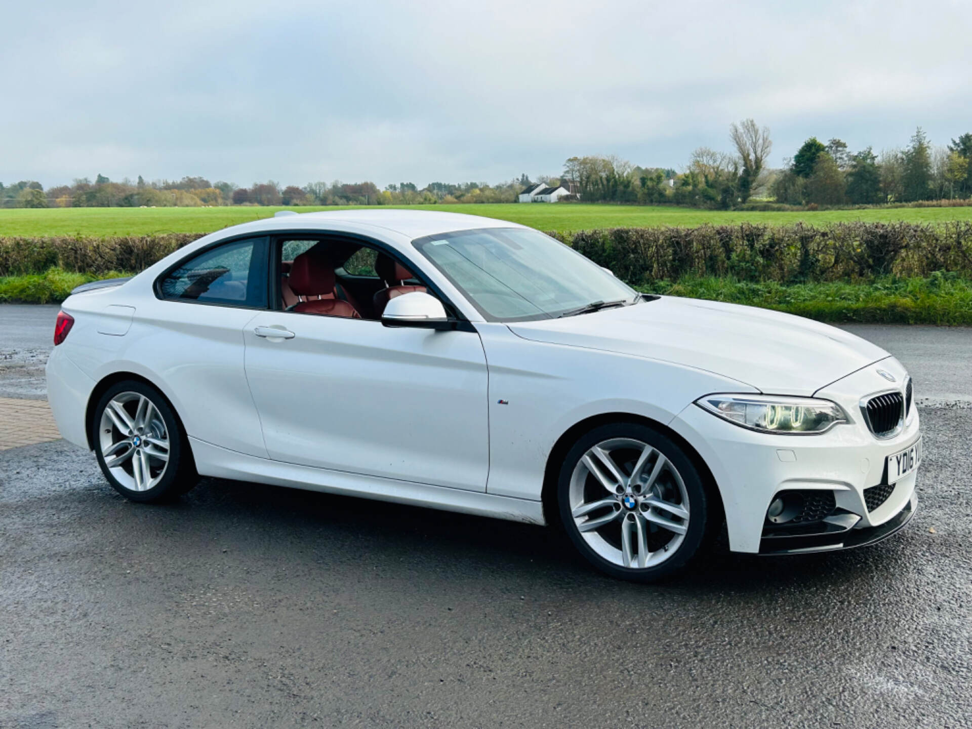 BMW 2 Series DIESEL COUPE in Antrim