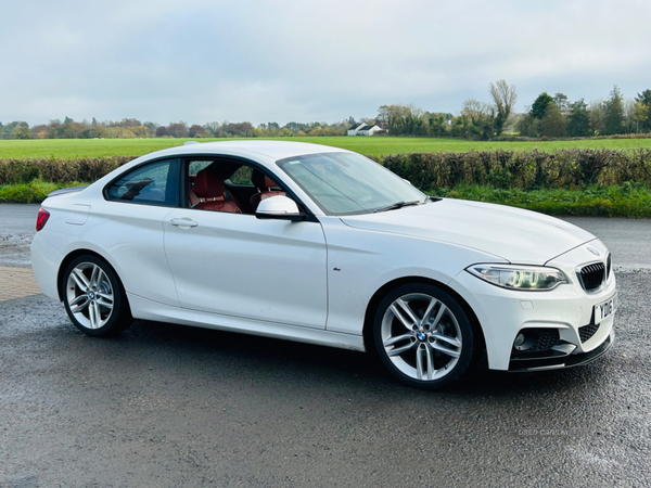 BMW 2 Series DIESEL COUPE in Antrim