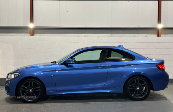 BMW 2 Series DIESEL COUPE in Antrim