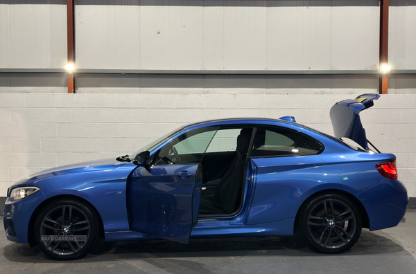 BMW 2 Series DIESEL COUPE in Antrim