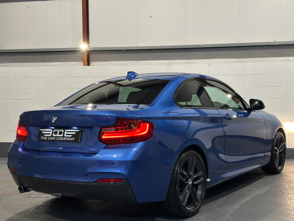 BMW 2 Series DIESEL COUPE in Antrim