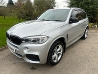 BMW X5 DIESEL ESTATE in Down