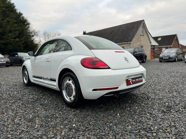 Volkswagen Beetle DIESEL HATCHBACK in Armagh