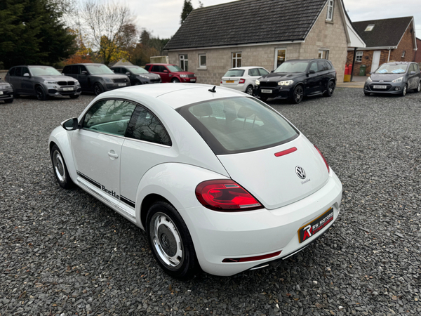 Volkswagen Beetle DIESEL HATCHBACK in Armagh