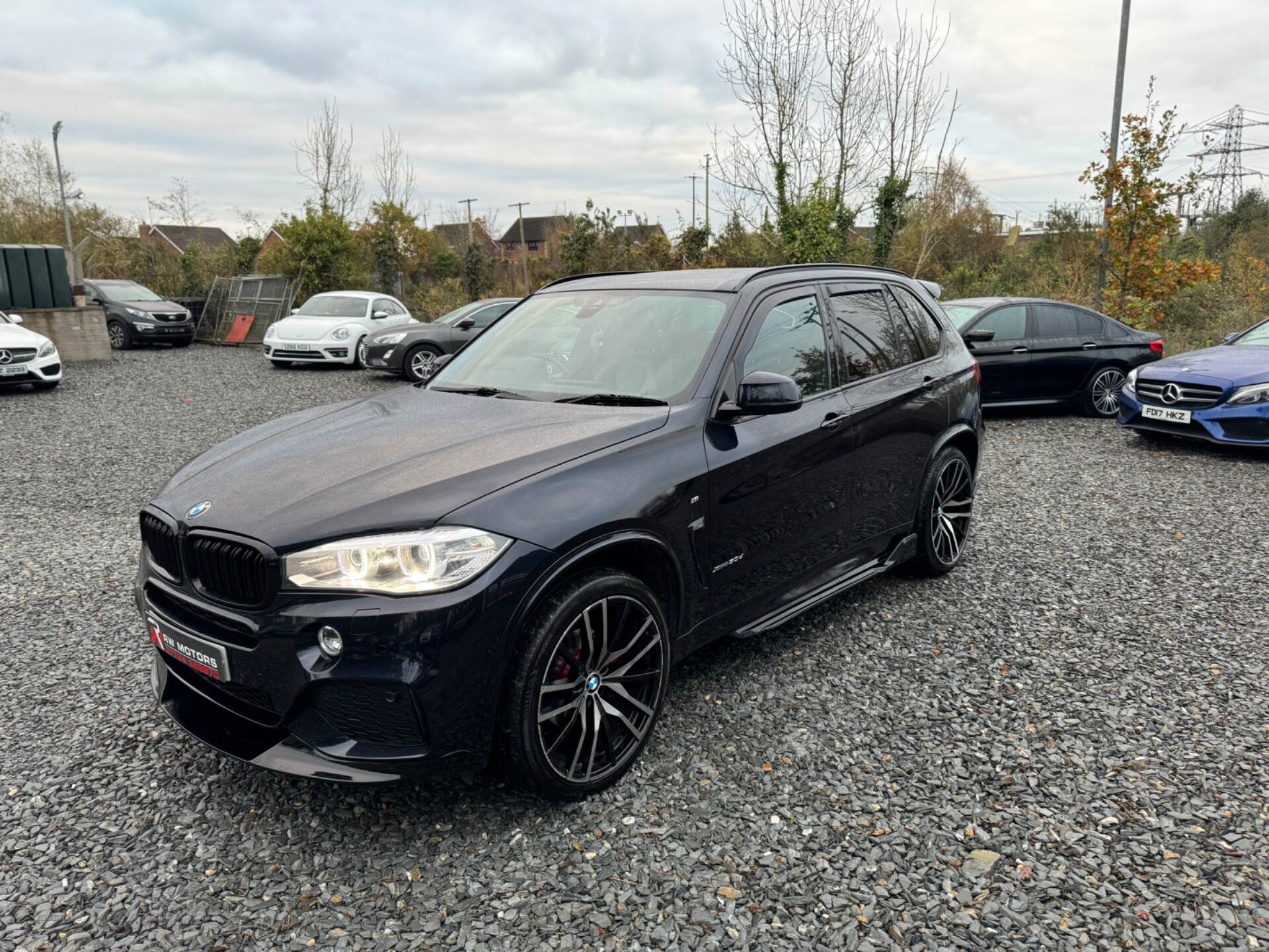 BMW X5 DIESEL ESTATE in Armagh