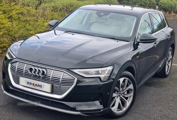 Audi E-Tron ESTATE in Armagh