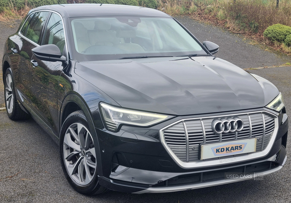 Audi E-Tron ESTATE in Armagh