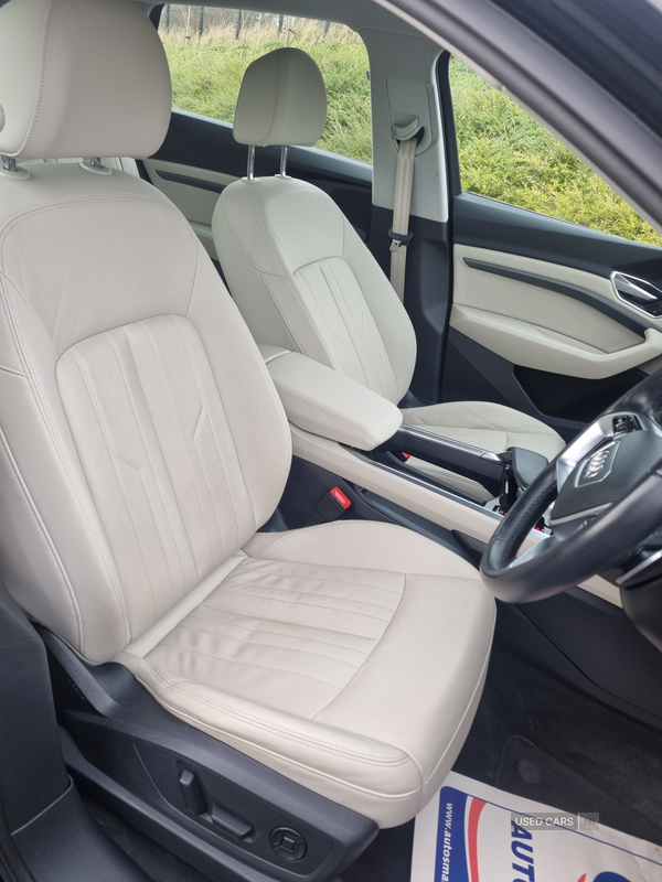 Audi E-Tron ESTATE in Armagh