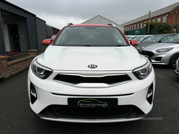 Kia Stonic ESTATE SPECIAL EDITION in Down