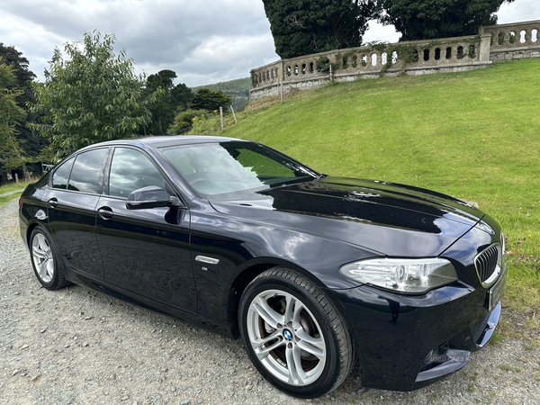 BMW 5 Series DIESEL SALOON in Down