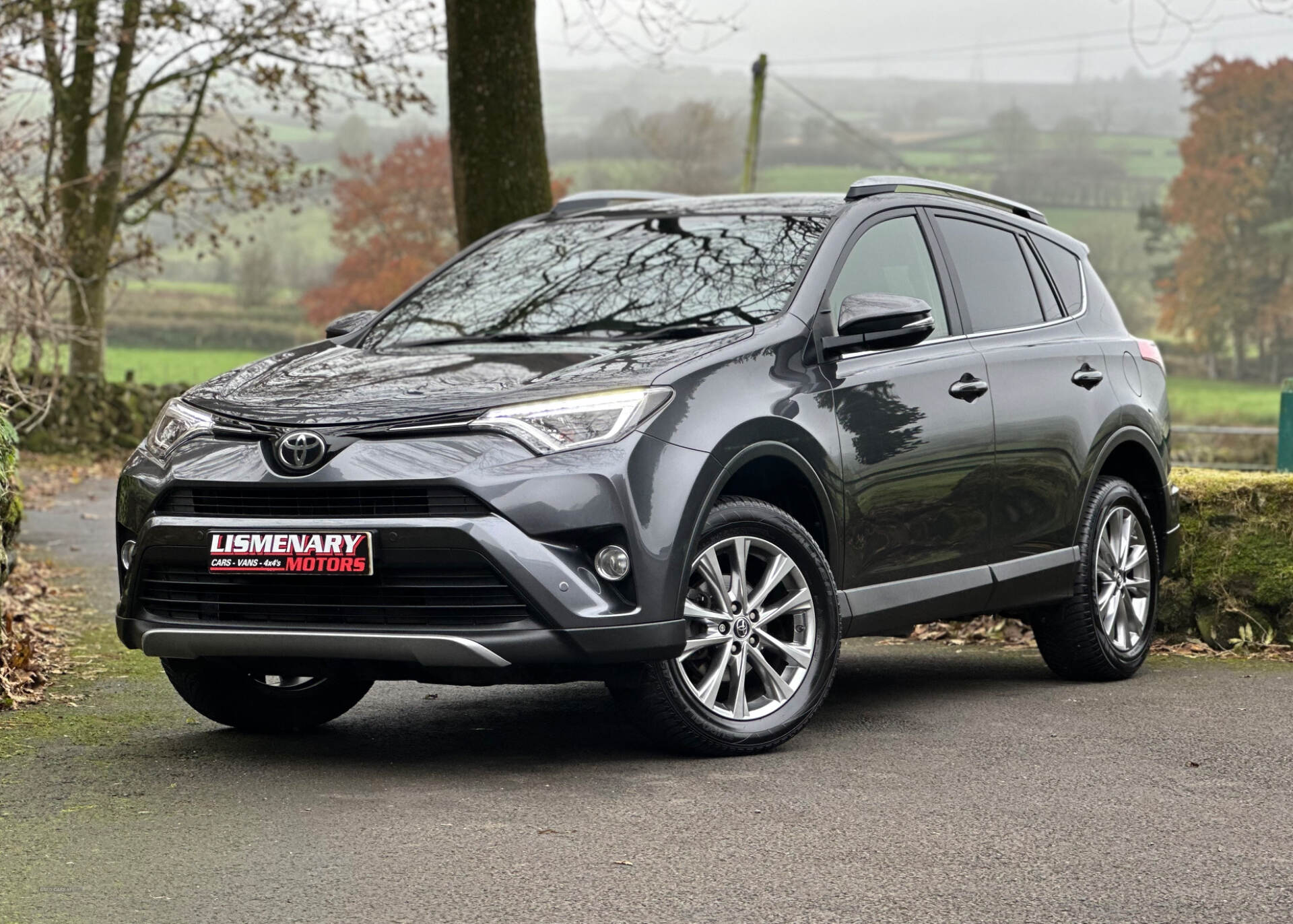 Toyota RAV4 DIESEL ESTATE in Antrim