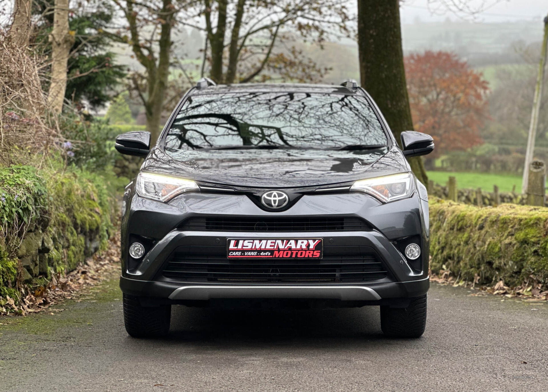 Toyota RAV4 DIESEL ESTATE in Antrim