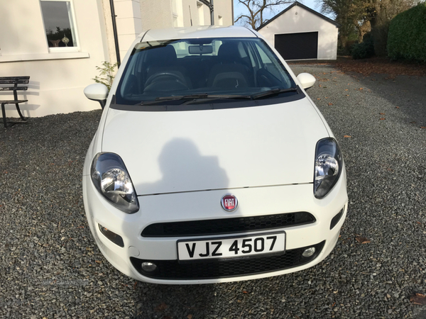 Fiat Punto HATCHBACK in Down