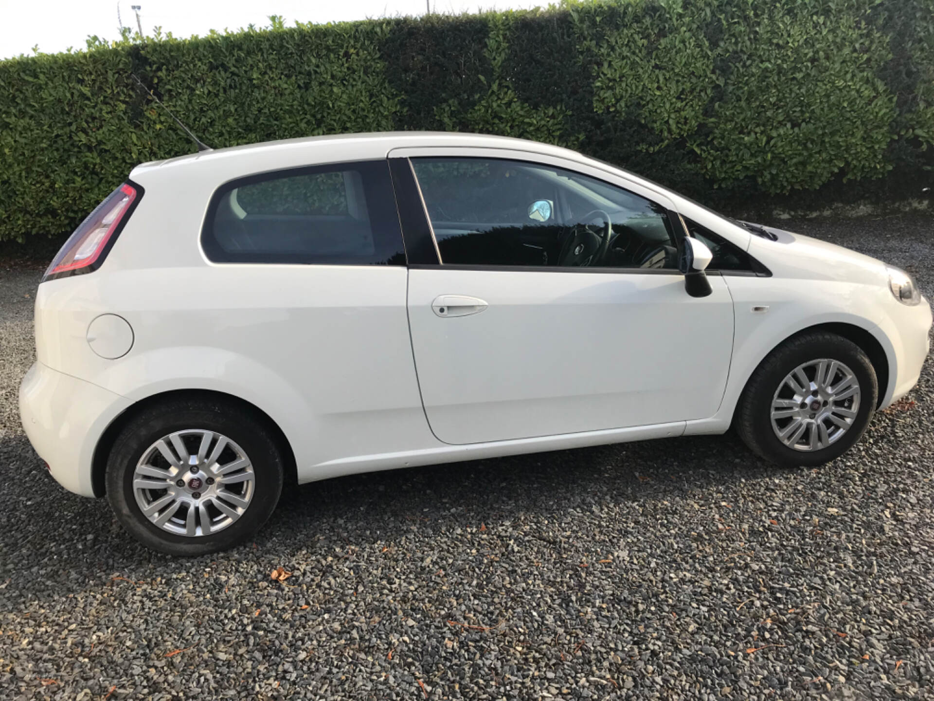 Fiat Punto HATCHBACK in Down