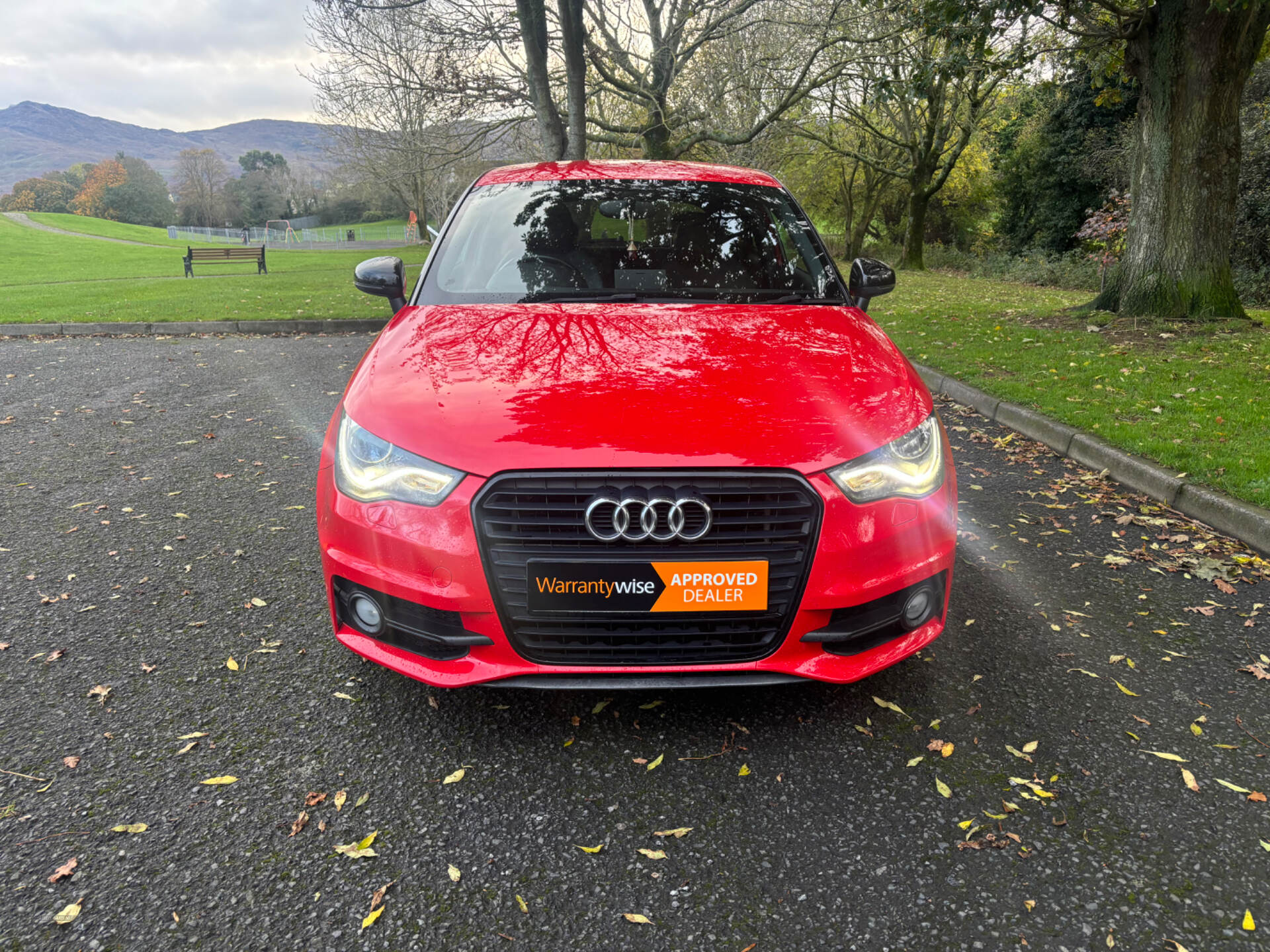 Audi A1 HATCHBACK SPECIAL EDITIONS in Down