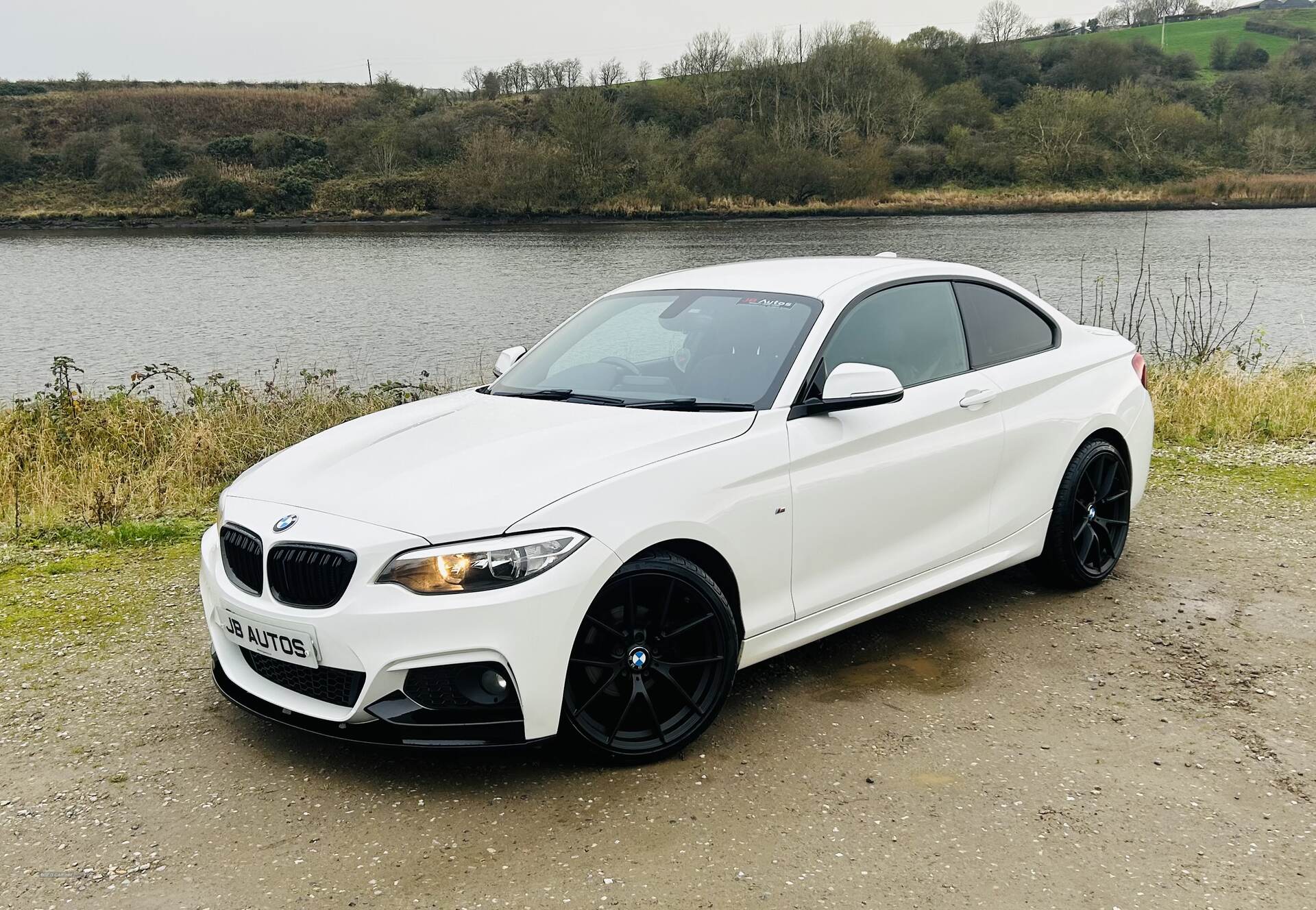 BMW 2 Series DIESEL COUPE in Derry / Londonderry