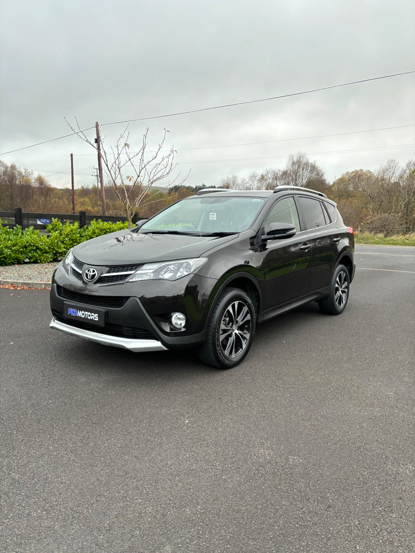 Toyota RAV4 DIESEL ESTATE in Tyrone