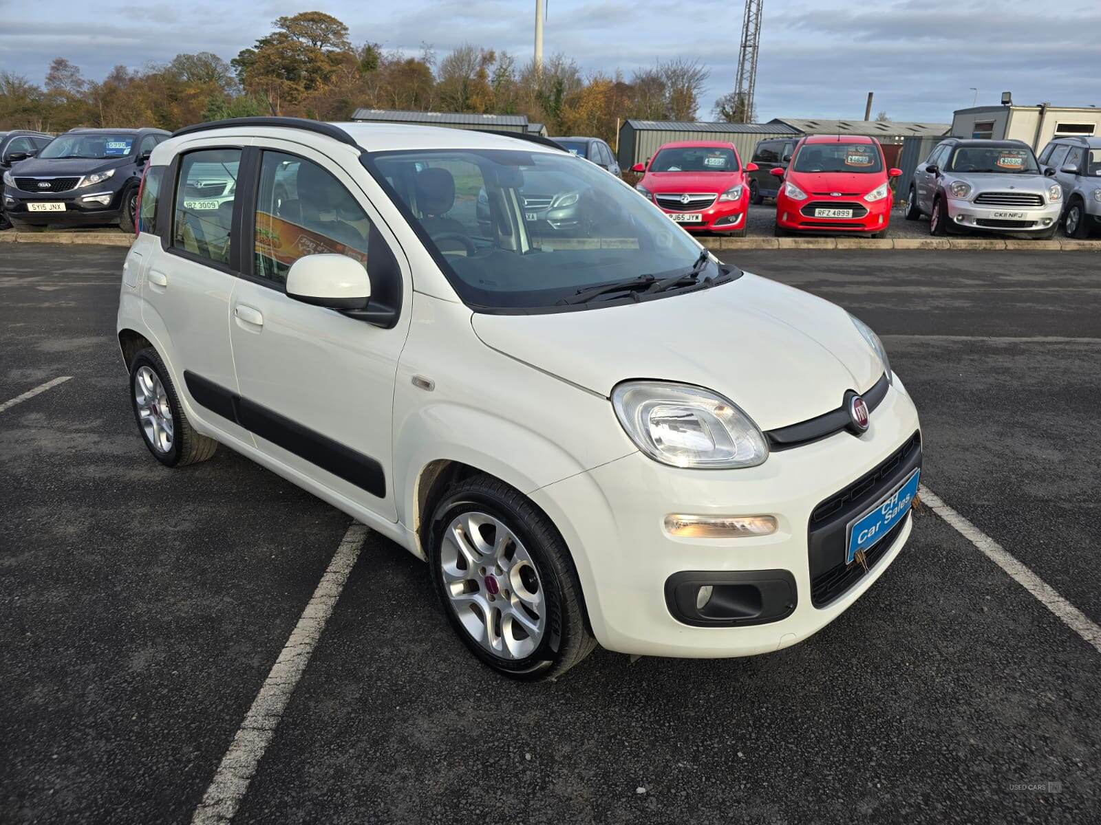 Fiat Panda HATCHBACK in Down