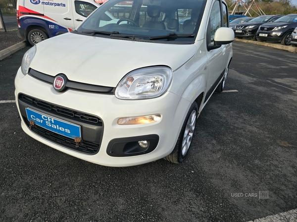 Fiat Panda HATCHBACK in Down