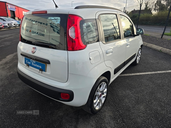 Fiat Panda HATCHBACK in Down