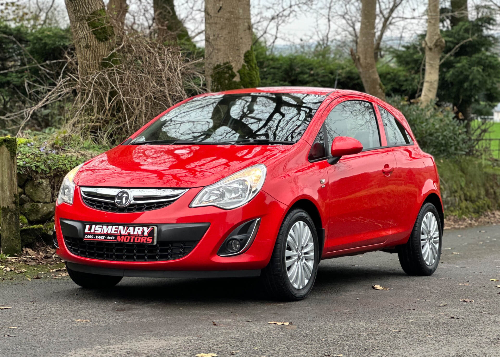 Vauxhall Corsa HATCHBACK SPECIAL EDS in Antrim