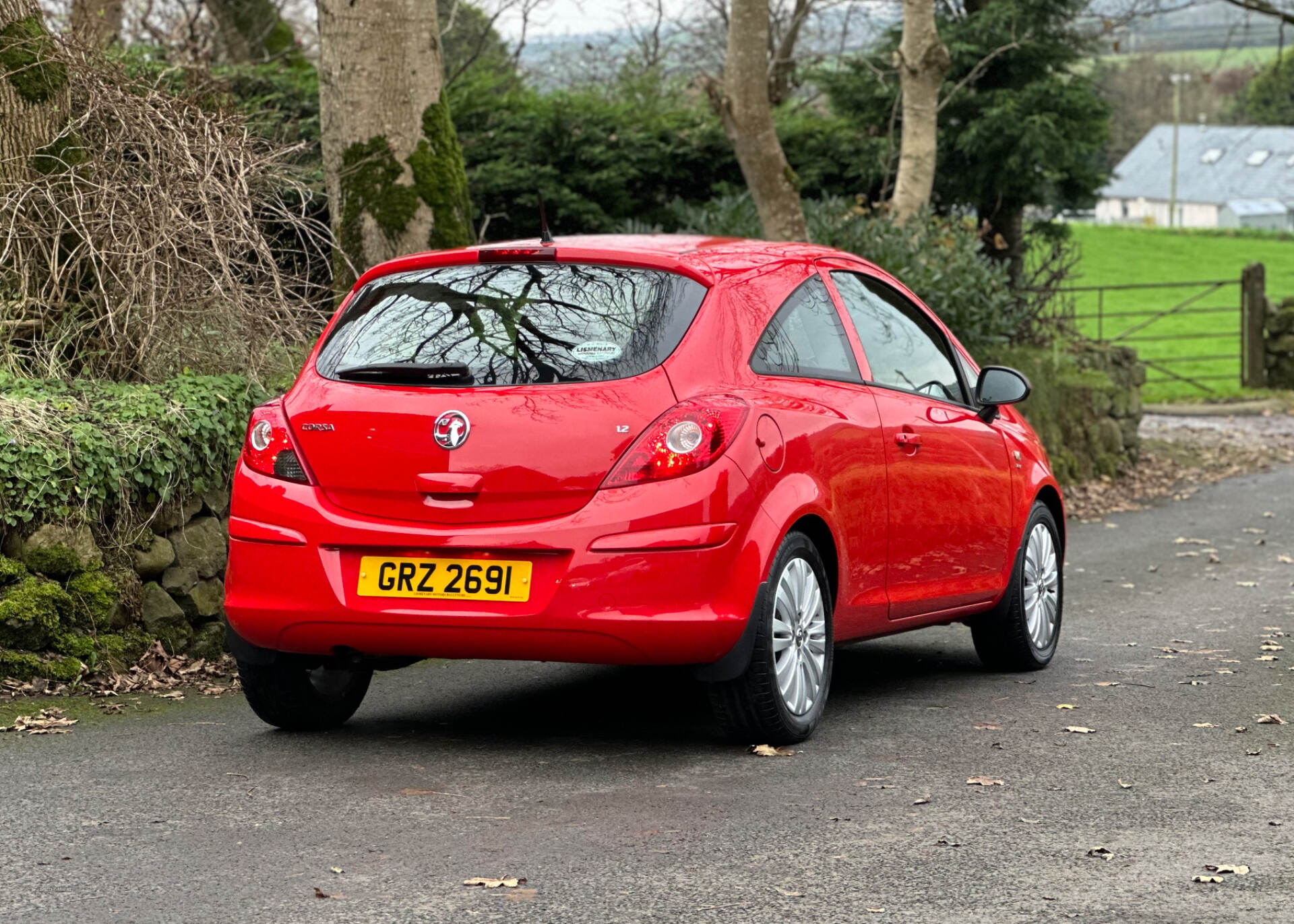 Vauxhall Corsa HATCHBACK SPECIAL EDS in Antrim