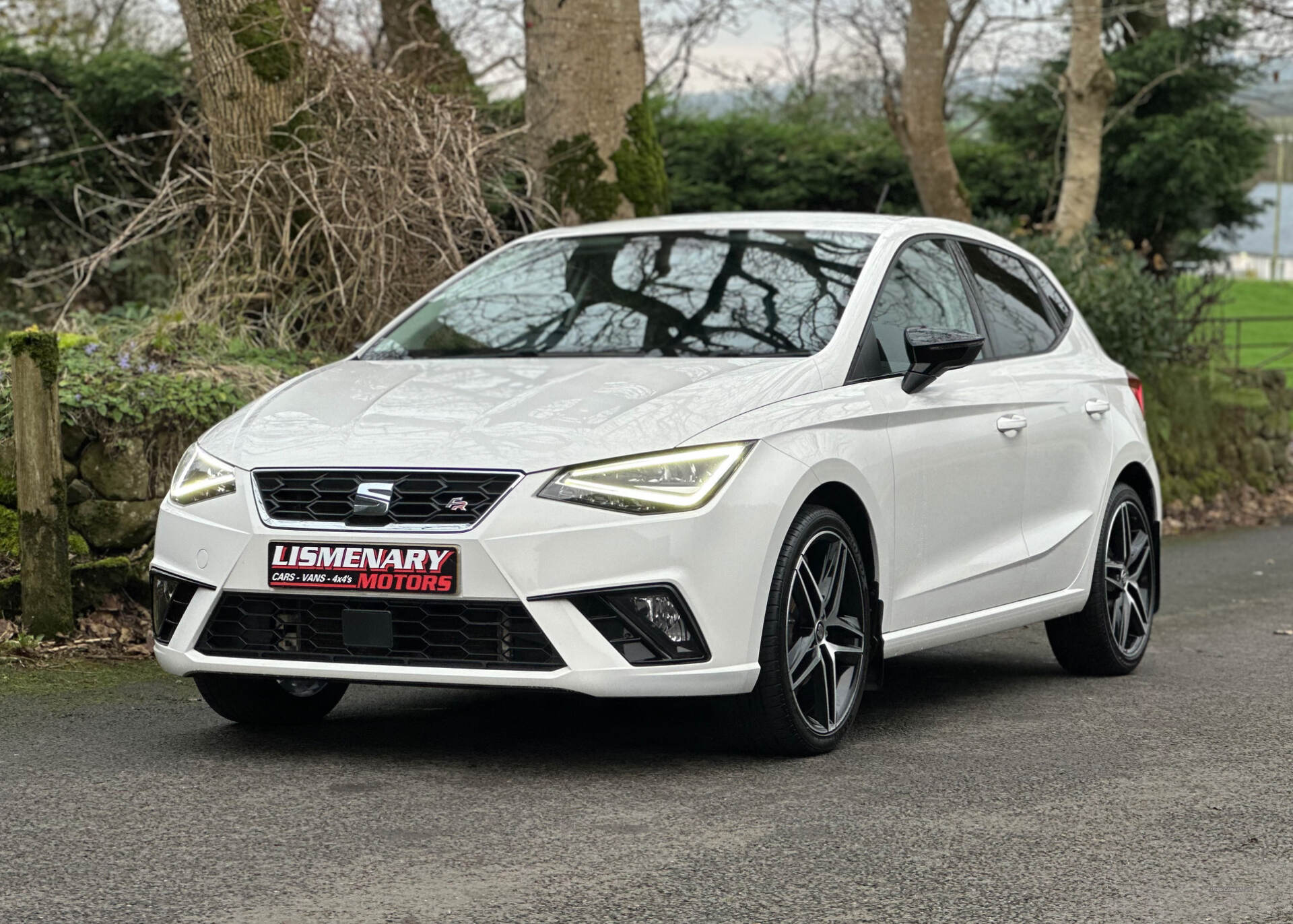 Seat Ibiza HATCHBACK in Antrim