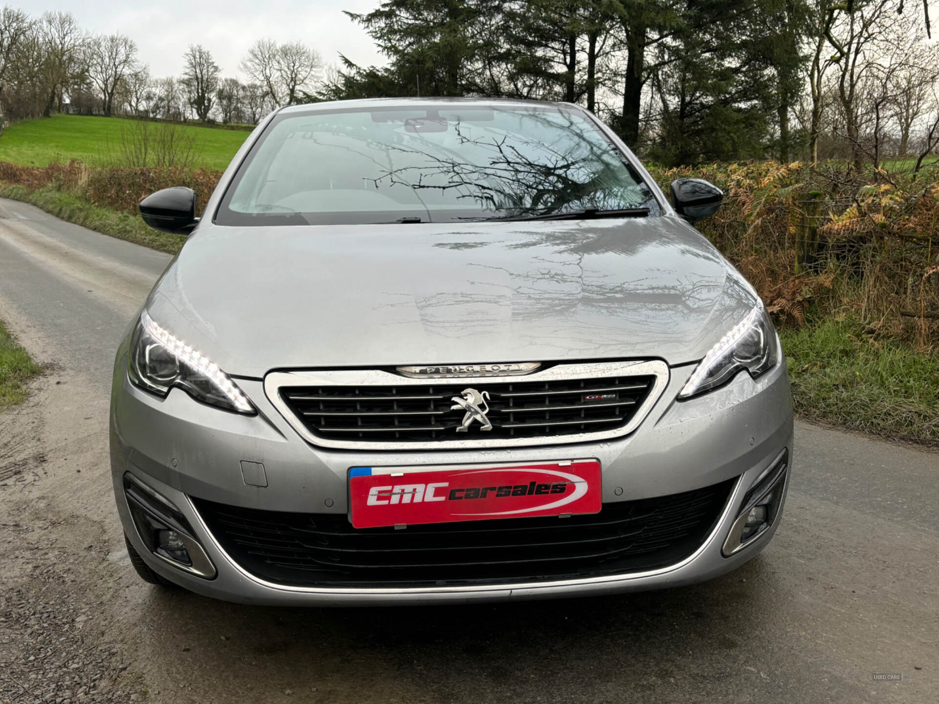 Peugeot 308 DIESEL HATCHBACK in Tyrone