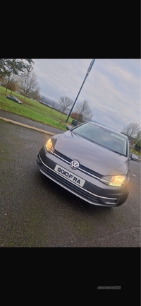 Volkswagen Golf 1.6 TDI SE 5dr in Armagh