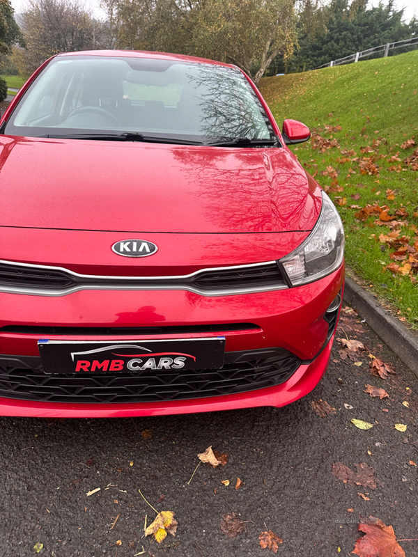 Kia Rio HATCHBACK in Down