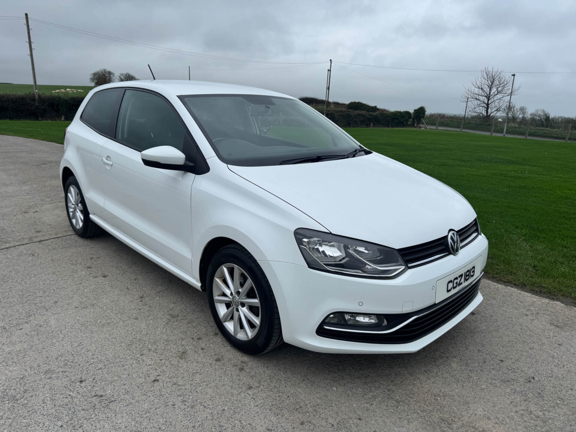 Volkswagen Polo HATCHBACK in Down