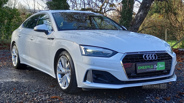 Audi A5 DIESEL SPORTBACK in Tyrone