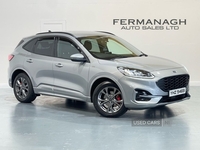 Ford Kuga 2.0 EcoBlue MHEV ST-Line Edition SUV 5dr Diesel Manual Euro 6 (s/s) (150 ps) in Fermanagh