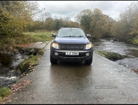 Ford Ranger Pick Up Double Cab Limited 3.2 TDCi 4WD in Antrim