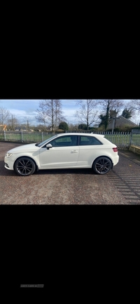 Audi A3 1.6 TDI SE 3dr in Tyrone