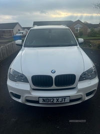 BMW X5 xDrive30d M Sport 5dr Auto in Derry / Londonderry