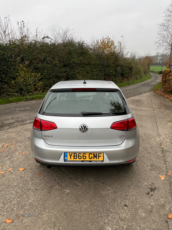 Volkswagen Golf DIESEL HATCHBACK in Armagh