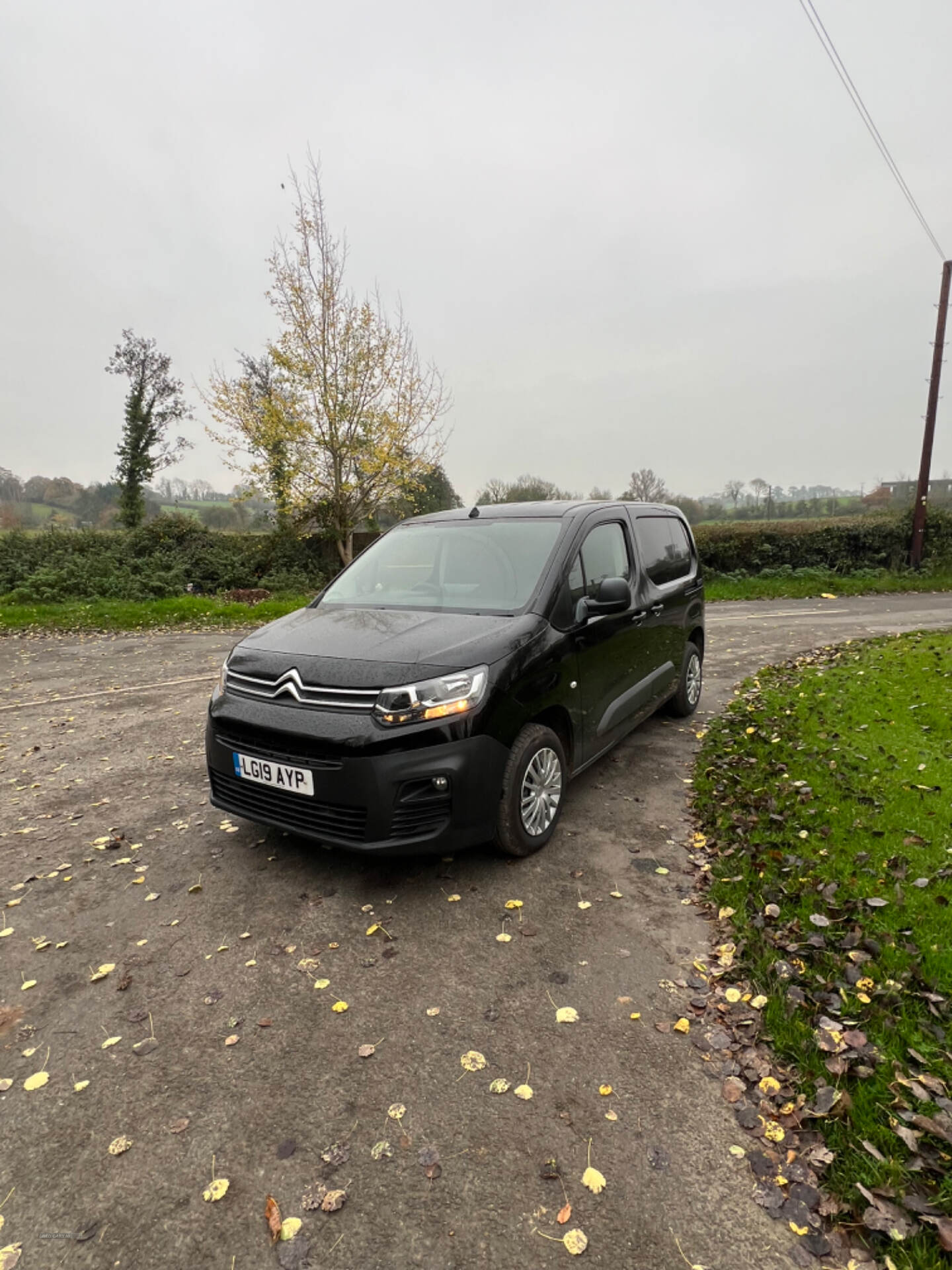 Citroen Berlingo M DIESEL in Armagh