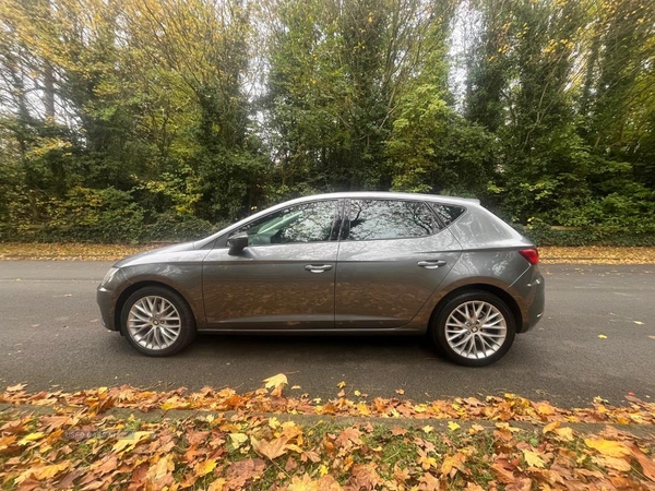 Seat Leon DIESEL HATCHBACK in Armagh