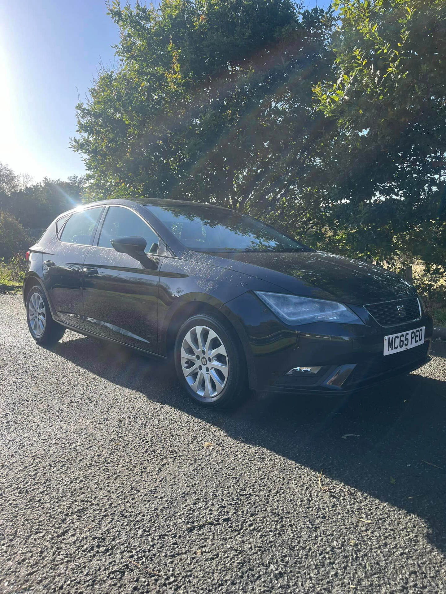 Seat Leon DIESEL HATCHBACK in Armagh