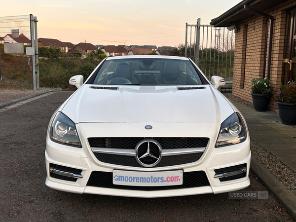 Mercedes SLK-Class DIESEL ROADSTER in Antrim