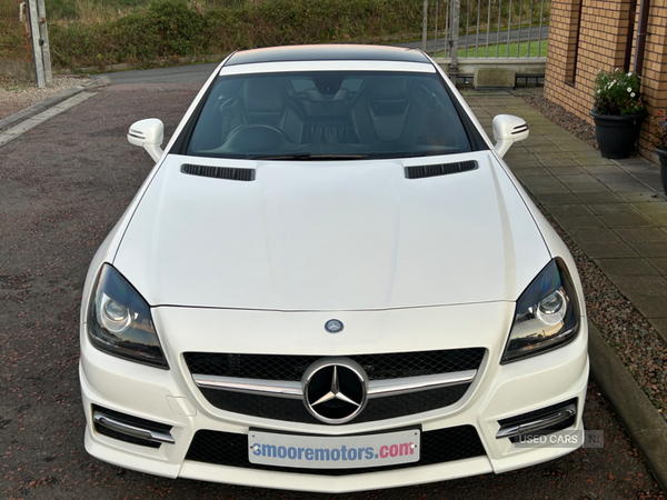 Mercedes SLK-Class DIESEL ROADSTER in Antrim